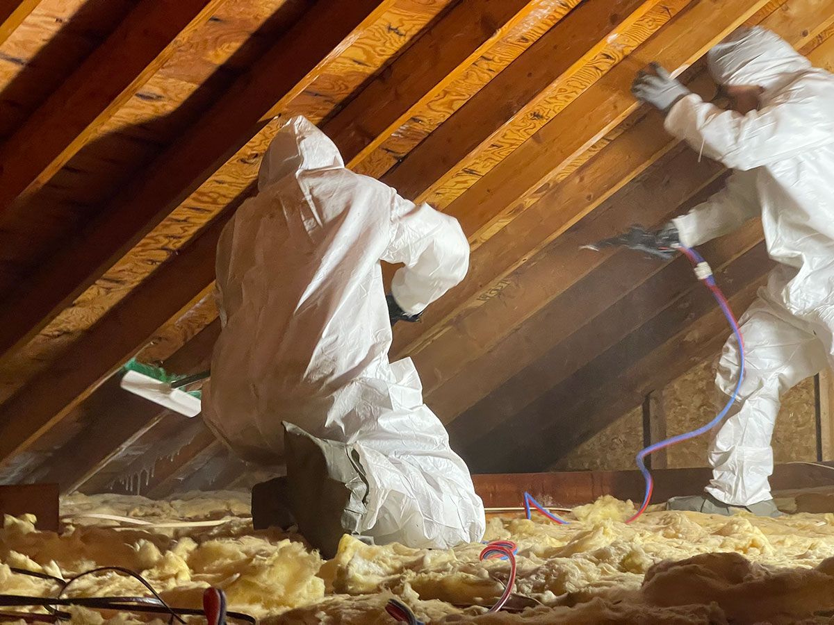 Mold Cleanup in Seaside Heights, NJ